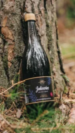 Jałowiec – napój na bazie jałowca i chmielu
